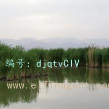 ҵ